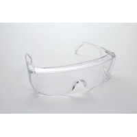 ProVision® Eyesavers™ 10-Pack Clear